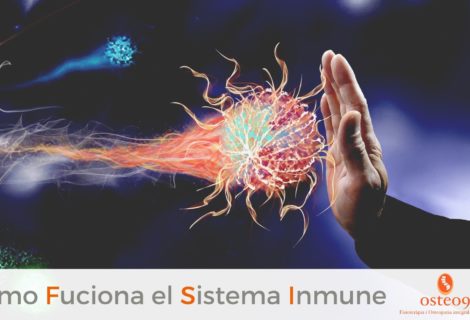 Cómo funciona el sistema inmune